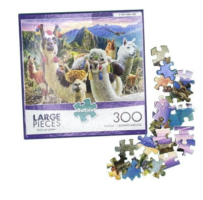 Youth Puzzles